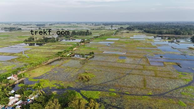 Aerial view of beels in Gopalganj district.
