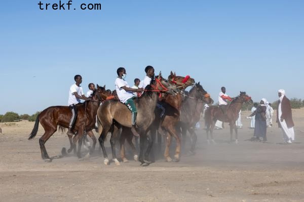 Jockeys are positio<em></em>ned on the starting line ahead of the first horse race of the season at the Biligoni racecourse in Chad on November 30, 2024. — AFP pic 