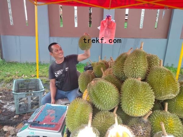 Chong holds up a Musang King for the camera, at his trading site at Hui Sing Garden rounda<em></em>bout. — The Borneo Post pic