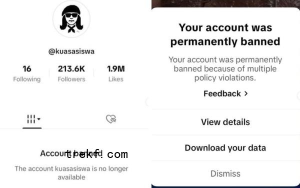  TikTok has permanently banned the account of activist and graphic artist Fahmi Reza, allegedly due to multiple policy violations. — Pictures via Instagram/kuasasiswa