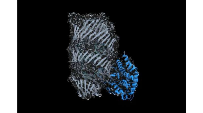 Discovery boosts fight against antibiotic-resistant hospital superbugs